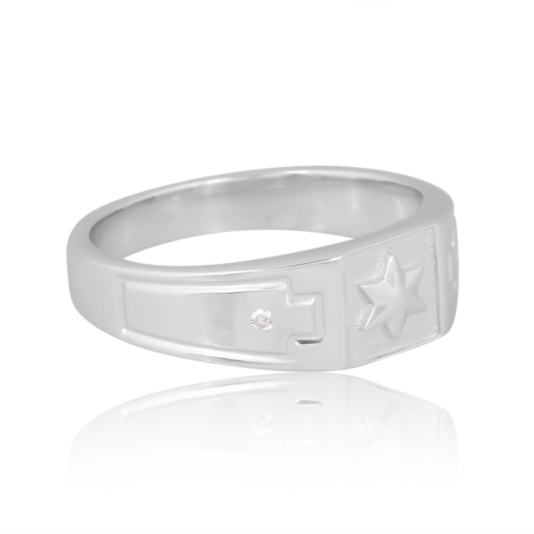 The Celestial Guardian