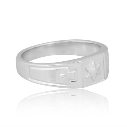 The Celestial Guardian