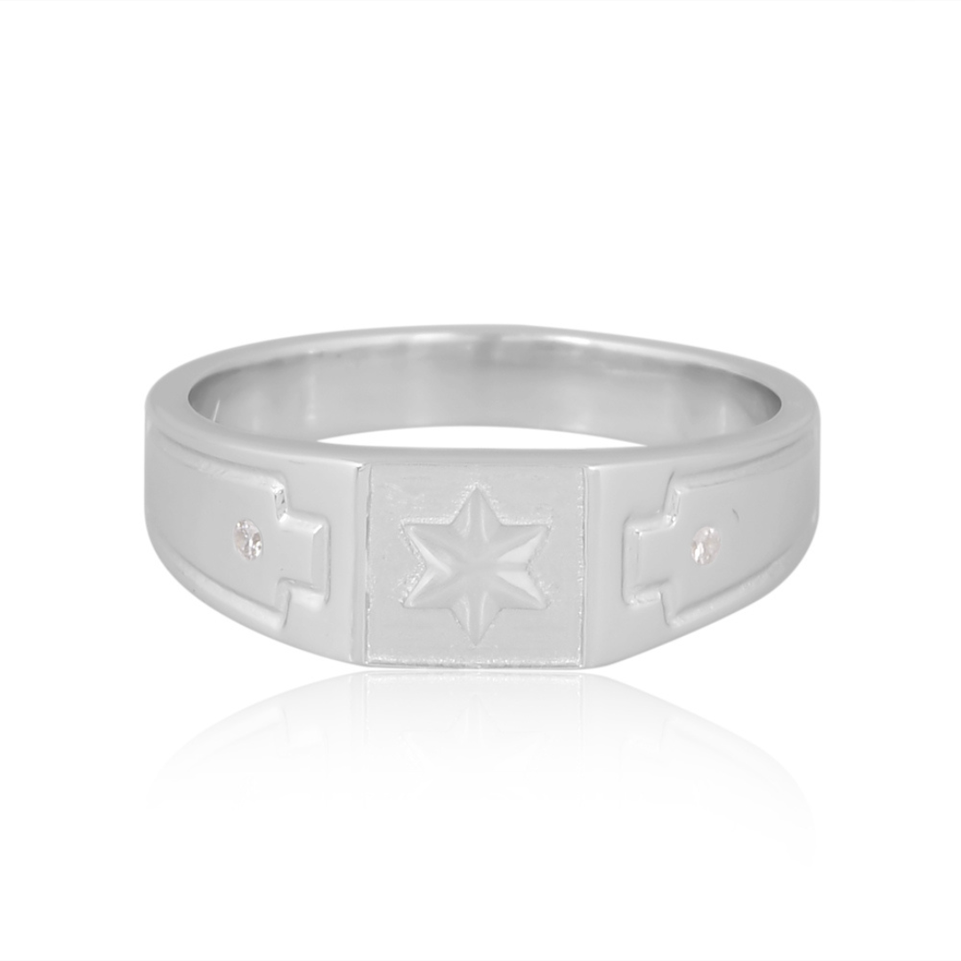 The Celestial Guardian