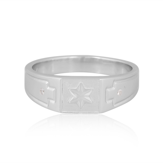 The Celestial Guardian