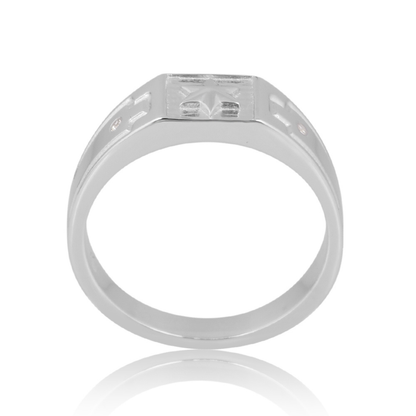 The Celestial Guardian