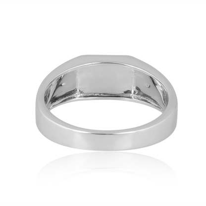 The Celestial Guardian